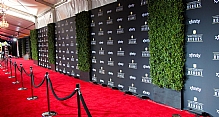 Step and Repeat - Event Matte Banner